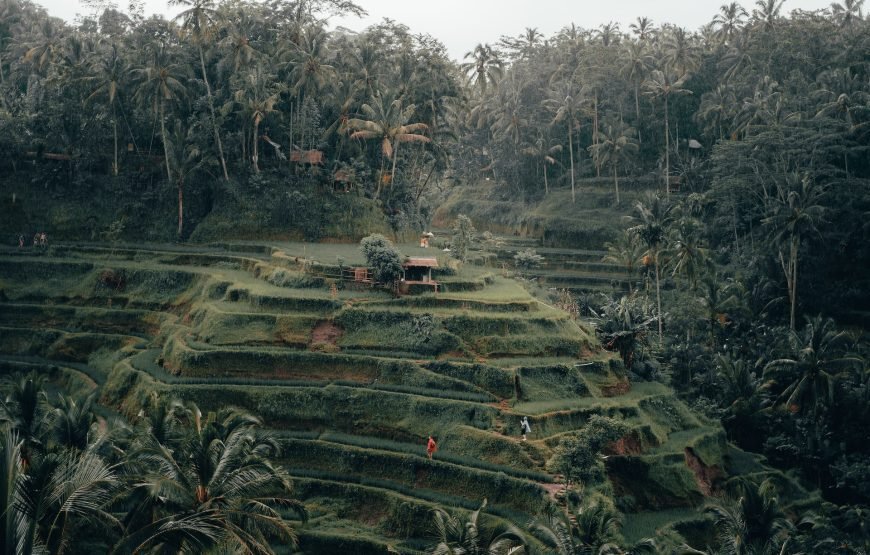 Trip to Bali (6D/5N)