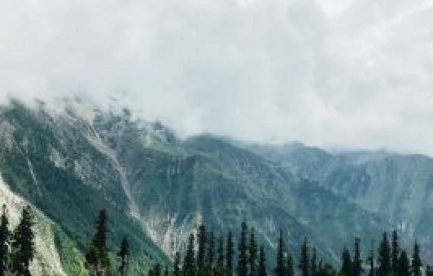 Trip to Kashmir (7D/6N)