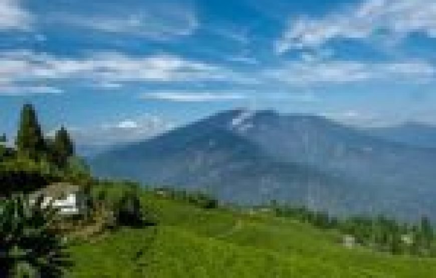 Darjeeling & Gangtok Ex:- Bangalore, Chennai, Mumbai, Delhi, Pune.
